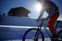 Schwalbe Pneu Ice Spiker Pro 29x2.25 Starr black