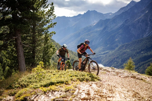 Service, Verkauf, Ersatzteile